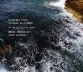 the album cover for Giovanna Pessi - If Grief Could Wait