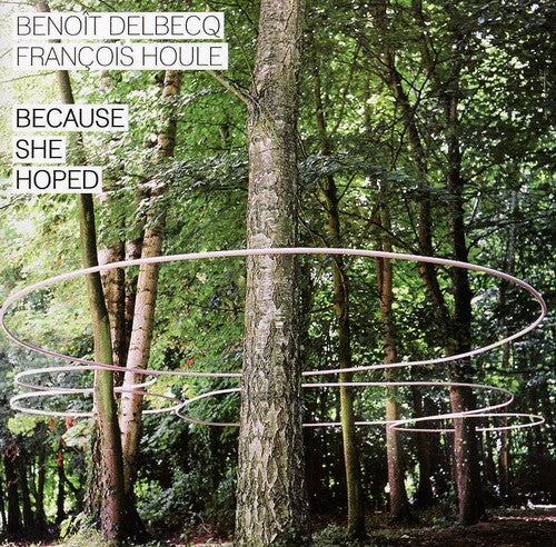 the album cover for Francois Houle - Because She Hoped