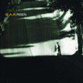 the album cover for O.A.R. - Risen