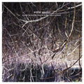the album cover for Harold Budd - Winter Garden