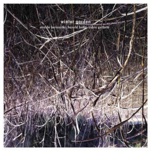 the album cover for Harold Budd - Winter Garden