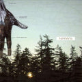 the album cover for Narrows - New Distances