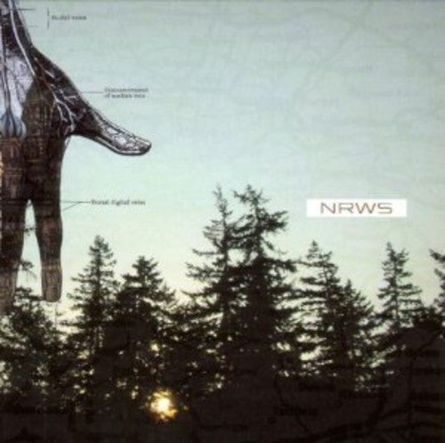 the album cover for Narrows - New Distances