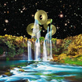 the album cover for Orchestra Of Spheres - Vibration Animal Sex Brain Music