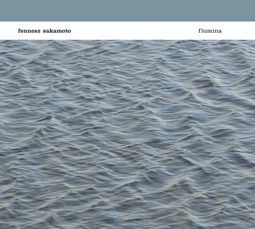 the album cover for Fennesz Sakamoto - Flumina