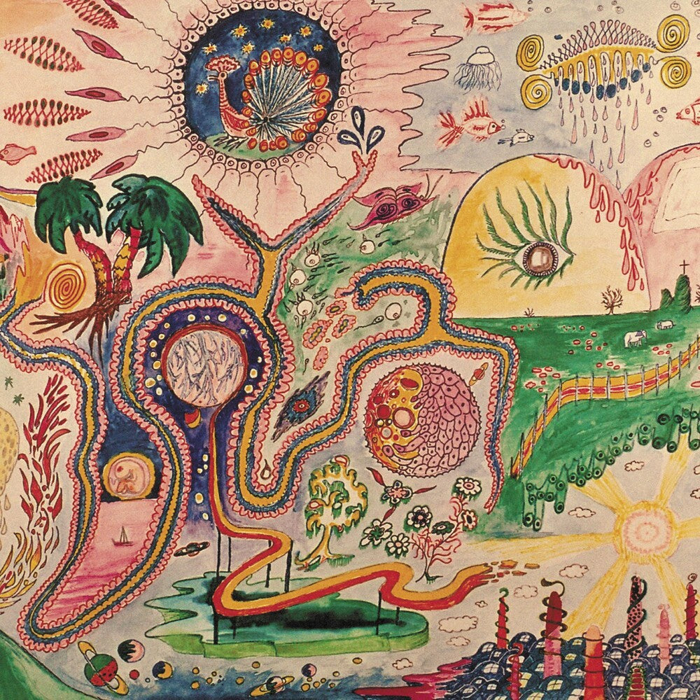 the album cover for Youth Lagoon - Wondrous Bughouse