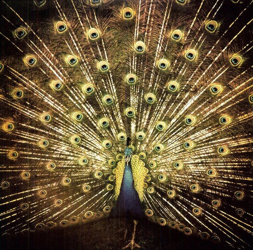 the album cover for Ani DiFranco - Which Side Are You On? [LP]