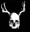 the album cover for Secret Fun Club - Skull with Antlers