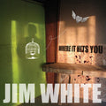 the album cover for Jim White - Where It Hits You