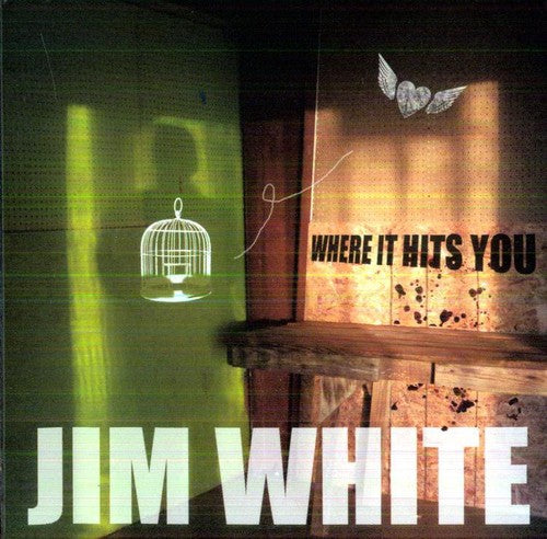 the album cover for Jim White - Where It Hits You
