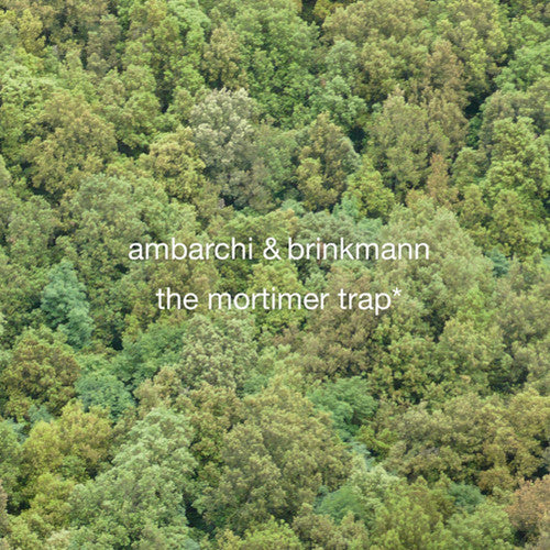 the album cover for Thomas Brinkmann & Oren Ambarchi - The Mortimer Trap