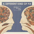 the album cover for Bombay Bicycle Club - A Different Kind Of Fix