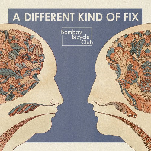 the album cover for Bombay Bicycle Club - A Different Kind Of Fix