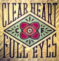 the album cover for Craig Finn - Clear Heart Full Eyes