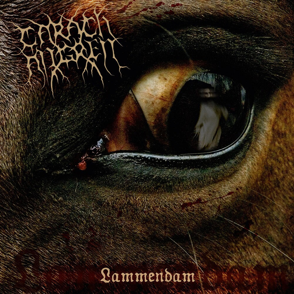 the album cover for Carach Angren - Lammendam