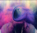 the album cover for Young Magic - Melt