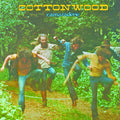the album cover for Cottonwood - Camaraderie