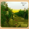 the album cover for Calexico - Spoke