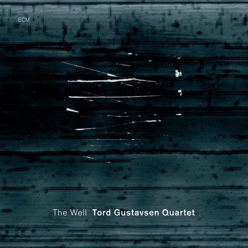 the album cover for Tord Gustavsen Quartet - The Well