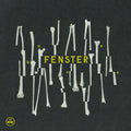 the album cover for Fenster - Bones
