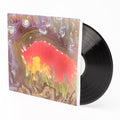 the album cover for Meat Puppets - II