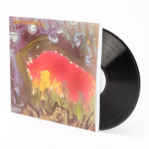 the album cover for Meat Puppets - II