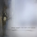 the album cover for Steve Roach - Delicate Forever
