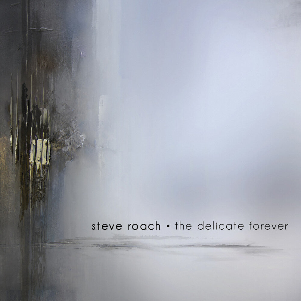 the album cover for Steve Roach - Delicate Forever