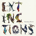 the album cover for Burning Hearts - Extinctions