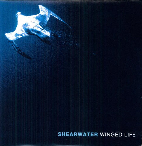 the album cover for Shearwater - Winged Life