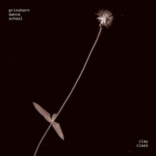 the album cover for Prinzhorn Dance School - Clay Class