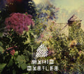 the album cover for Magic Castles - Magic Castles