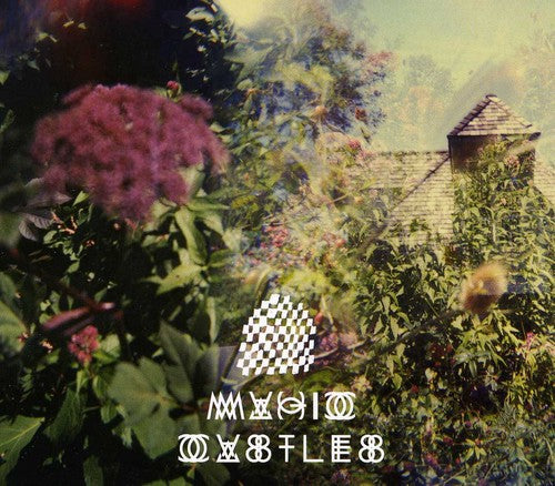 the album cover for Magic Castles - Magic Castles