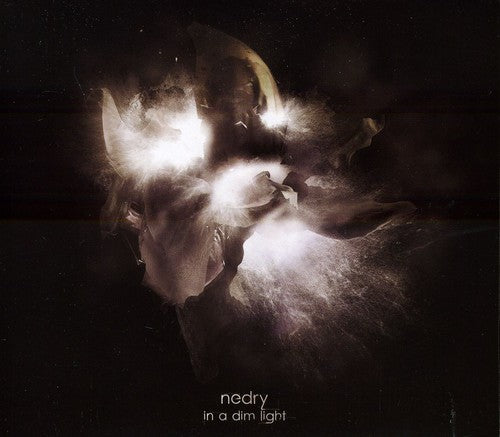 the album cover for Nedry - In A Dim Light