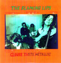 the album cover for The Flaming Lips - Clouds Taste Metallic