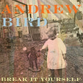 the album cover for Andrew Bird - Break It Yourself