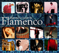 the album cover for Beginners Guide To Flamenco - Beginners Guide To Flamenco [Import]