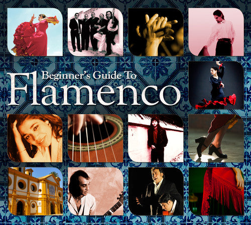 the album cover for Beginners Guide To Flamenco - Beginners Guide To Flamenco [Import]