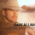 the album cover for Gary Allan - Icon