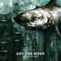 the album cover for Dry the River - Shallow Bed