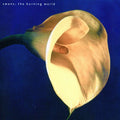 the album cover for Swans - The Burning World
