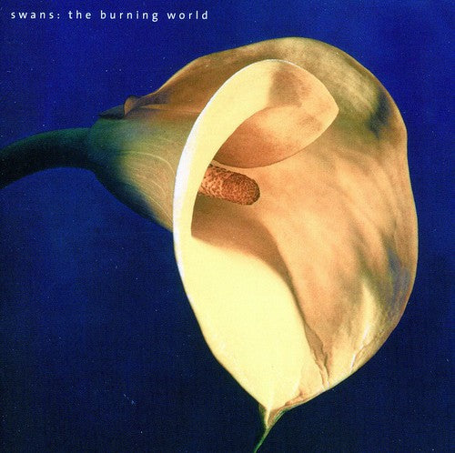 the album cover for Swans - The Burning World