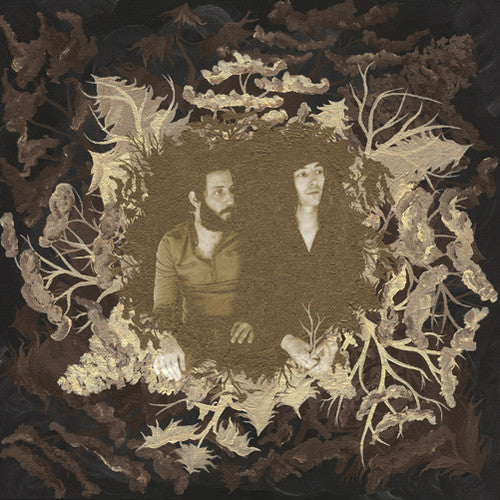 the album cover for Pretty Lightning - There Are Witches in the Woods