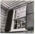 the album cover for Beach Fossils - What a Pleasure