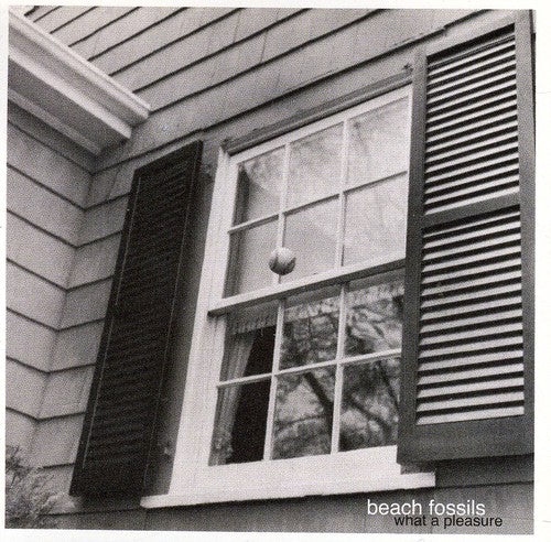 the album cover for Beach Fossils - What a Pleasure
