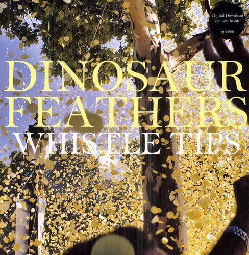 the album cover for Dinosaur Feathers - Whistle Tips