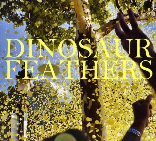 the album cover for Dinosaur Feathers - Whistle Tips