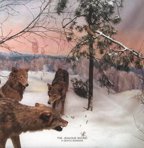 the album cover for Jealous Sound - A Gentle Reminder