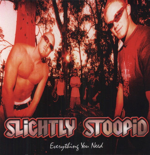 the album cover for Slightly Stoopid - Everything You Need [Yellow Vinyl]