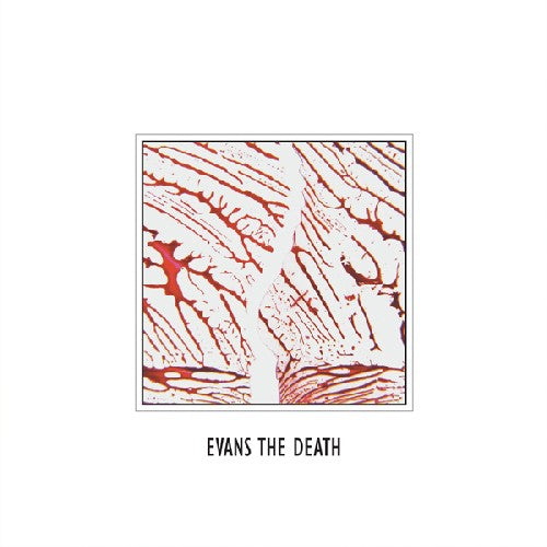 the album cover for Evans The Death - Evans the Death